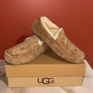 UGG Men’s Ascot Lodge Chestnut Suede Slippers Size US 10 with Box